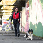 Samichlaus Mantrailing