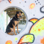 Special Day - Graffiti Shooting - Ausgebucht