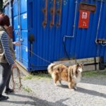 Spezialevent Mantrailing im ZAR-Aarwangen