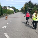 Prüfungsvorbereitung SHZ Stufen 1 - 3