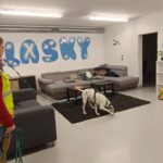 Spezialevent Mantrailing in Zivilschutzanlage