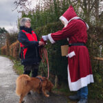 Samichlaus Mantrailing