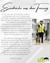 Kundenstimme Erika & Rayo Ich bin mit dem Mantrailing-Angebot von Simone, Gabi und Corinne sehr zufrieden. Sie gehen individuell auf die Bedürfnisse von Mensch und Hund ein und gestalten das Training entsprechend angepasst. Mein Hund wird dabei optimal ausgelastet, sowohl körperlich als auch mental. Besonders gefällt mir, dass das Training für alle Rassen geeignet ist und jeder auf seinem Niveau gefördert wird. Ein weiteres Highlight sind die abwechslungsreichen Trailorte sowie die tollen Spezialevents, wie Trainings in der Zivilschutzanlage oder im ZAR. Auch saisonale Anlässe wie Oster- oder Samichlaustrailen machen jedes Training zu etwas Besonderem und sorgen für zusätzliche Motivation und Spass. Absolut empfehlenswert! Erika und Rayo